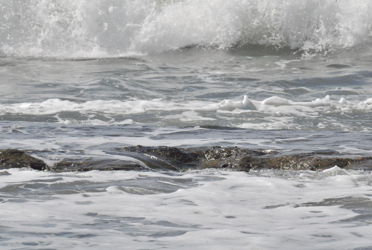 ./Isla_Del_Vendado_20111117_094325_TC1_0375.jpg