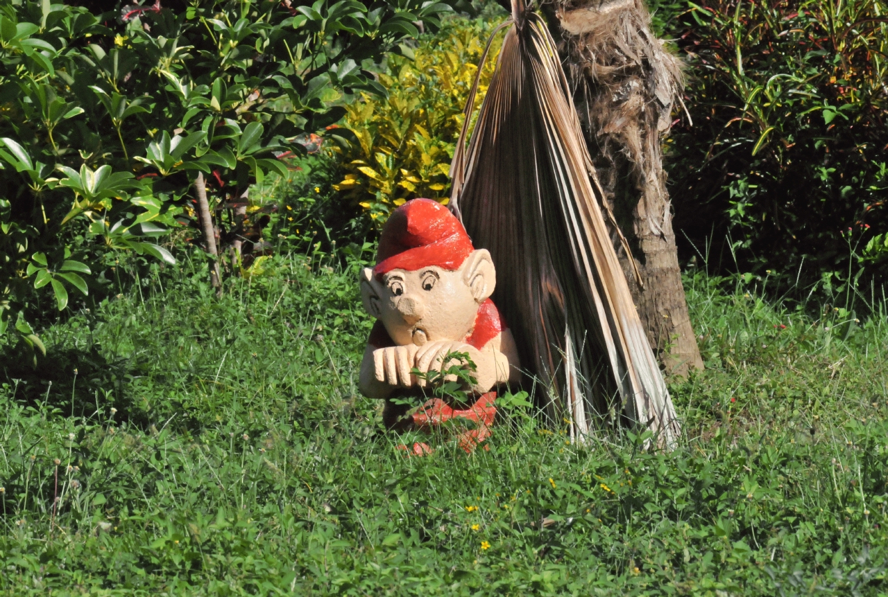 ./Ojo_Del_Agua_Ometepe_Island_Lake_Nicaragua_20111119_143619_TC1_0715.jpg