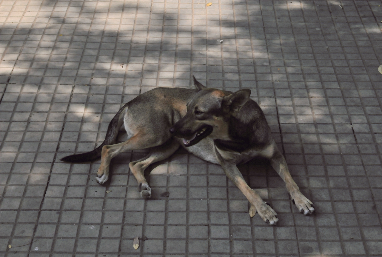 ./Rivas_Nicaragua_20140509_094047_C14_3240.jpg