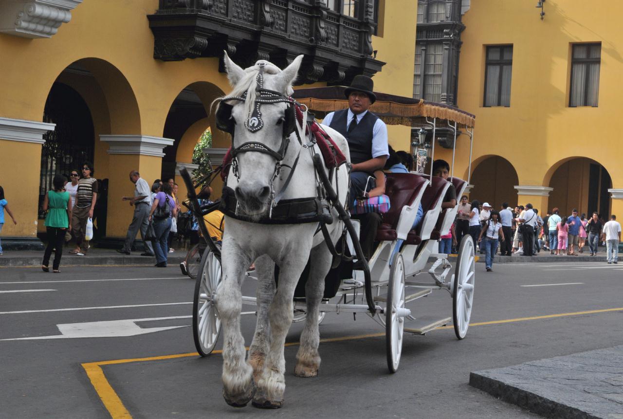 ./SurreyLimaPeru2009011_154606_3892BCX.jpg