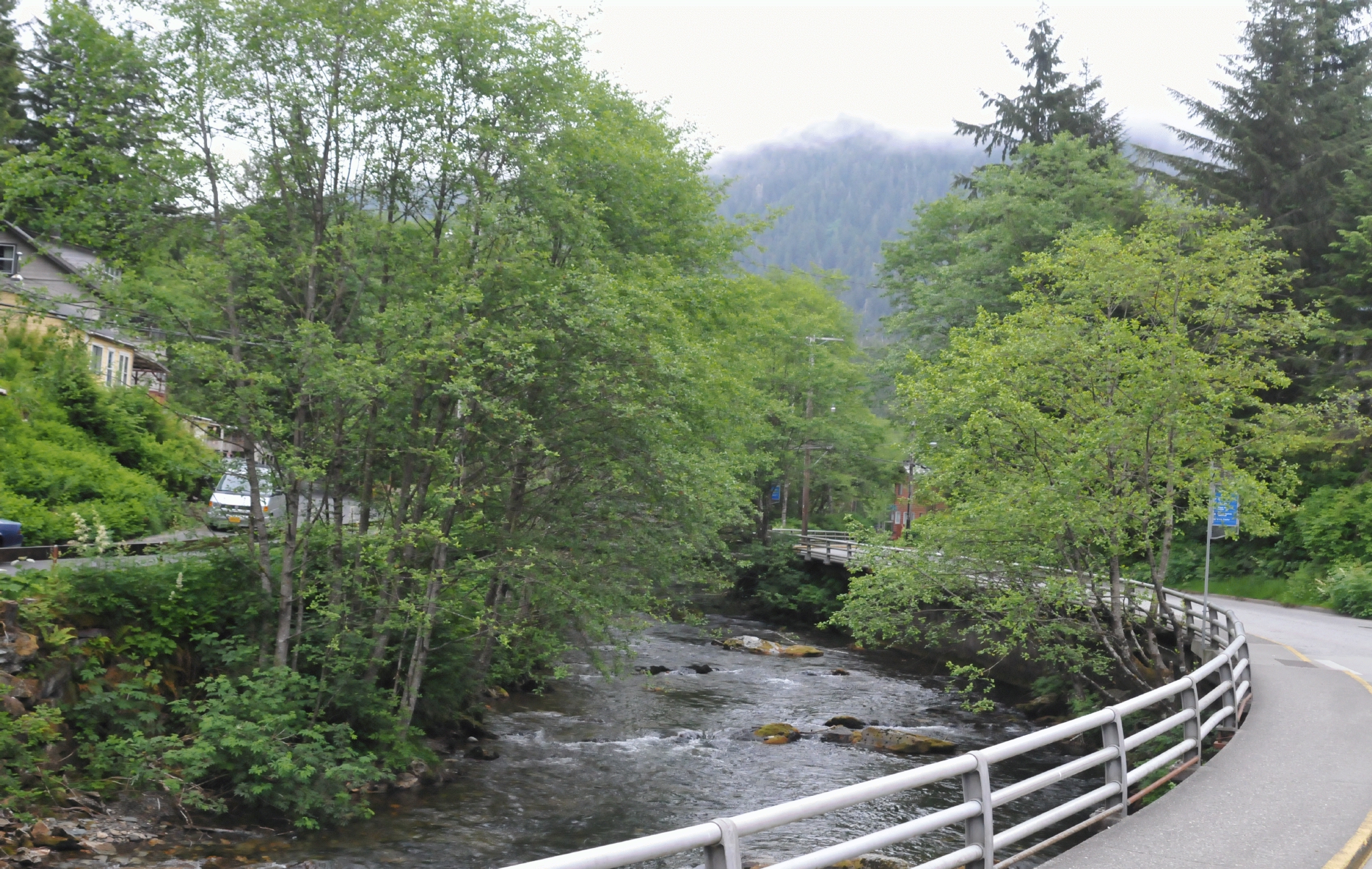 ./Ketchikan_Alaska_20150602_091706_C15_1481.jpg