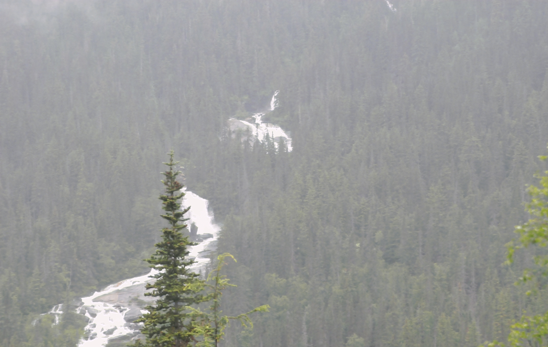 ./Skagway_Rail_Tour_20150604_091830_C15_2446.jpg