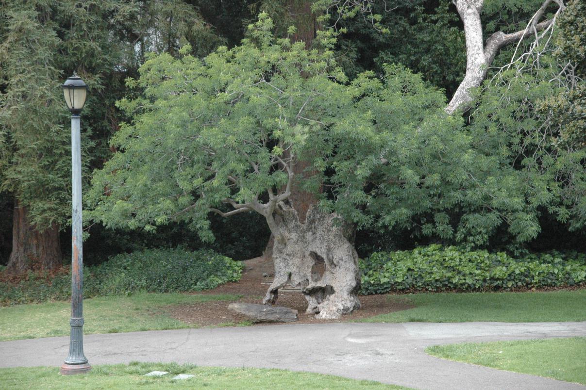 ./UCBerkeley2007_09.jpg