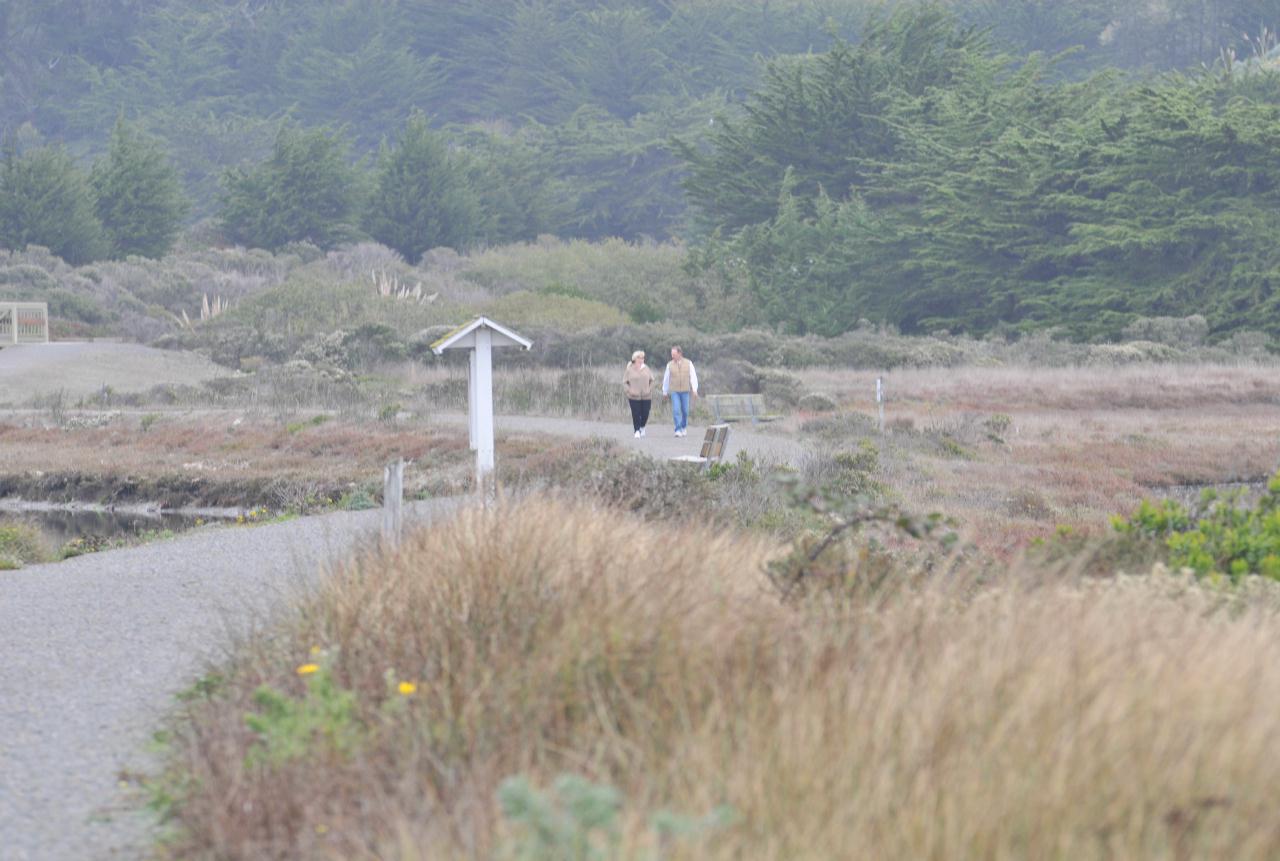 ./CheneyCreekBodegaBay20081108_02_6945BCX.jpg