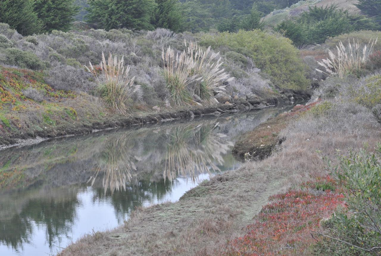 ./CheneyCreekBodegaBay20081108_08_6954BCX.jpg