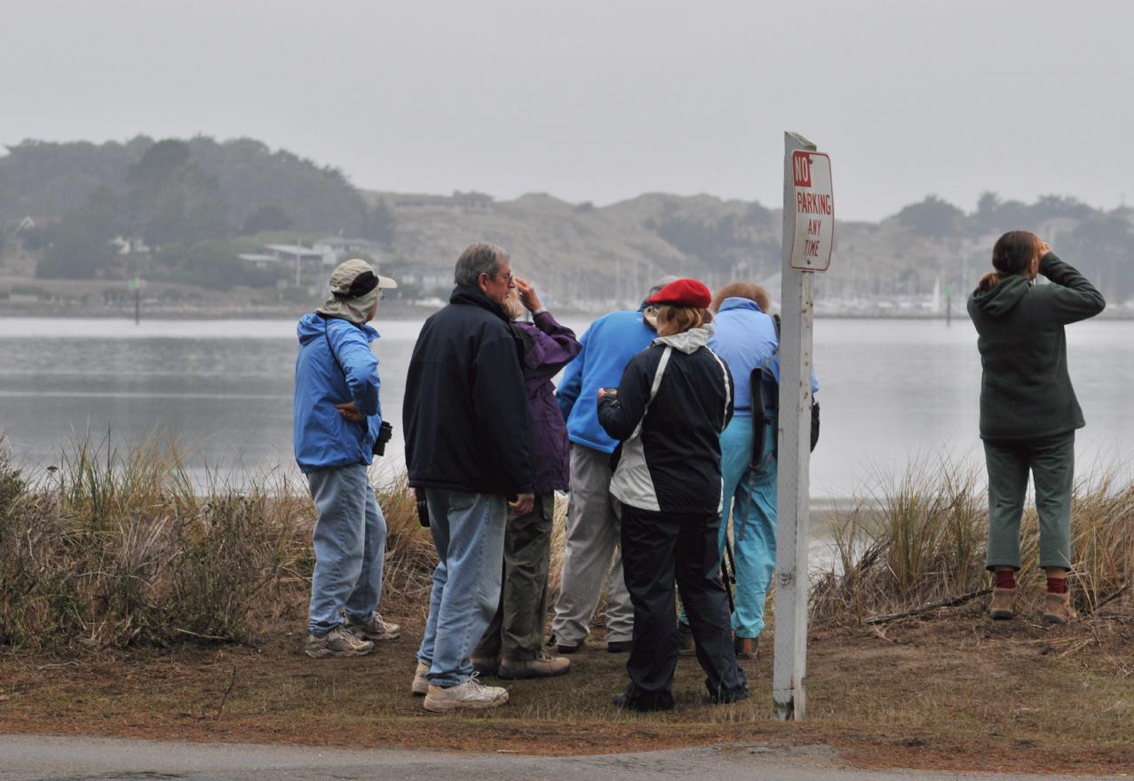 ./CheneyCreekBodegaBay20081108_11_6975BCX.jpg