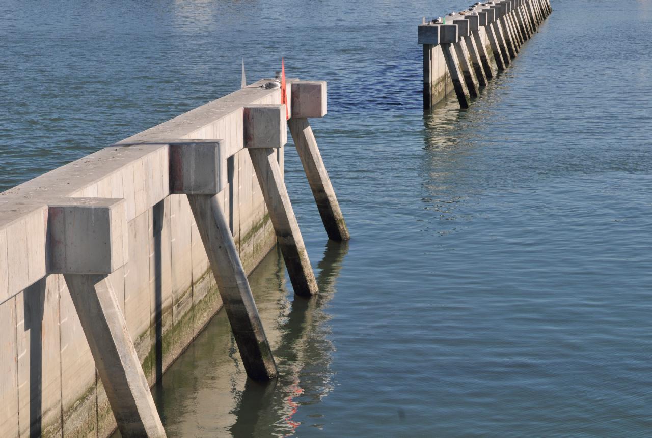 ./EmeryvilleMarina20090201_14_134102_8748BCX.jpg