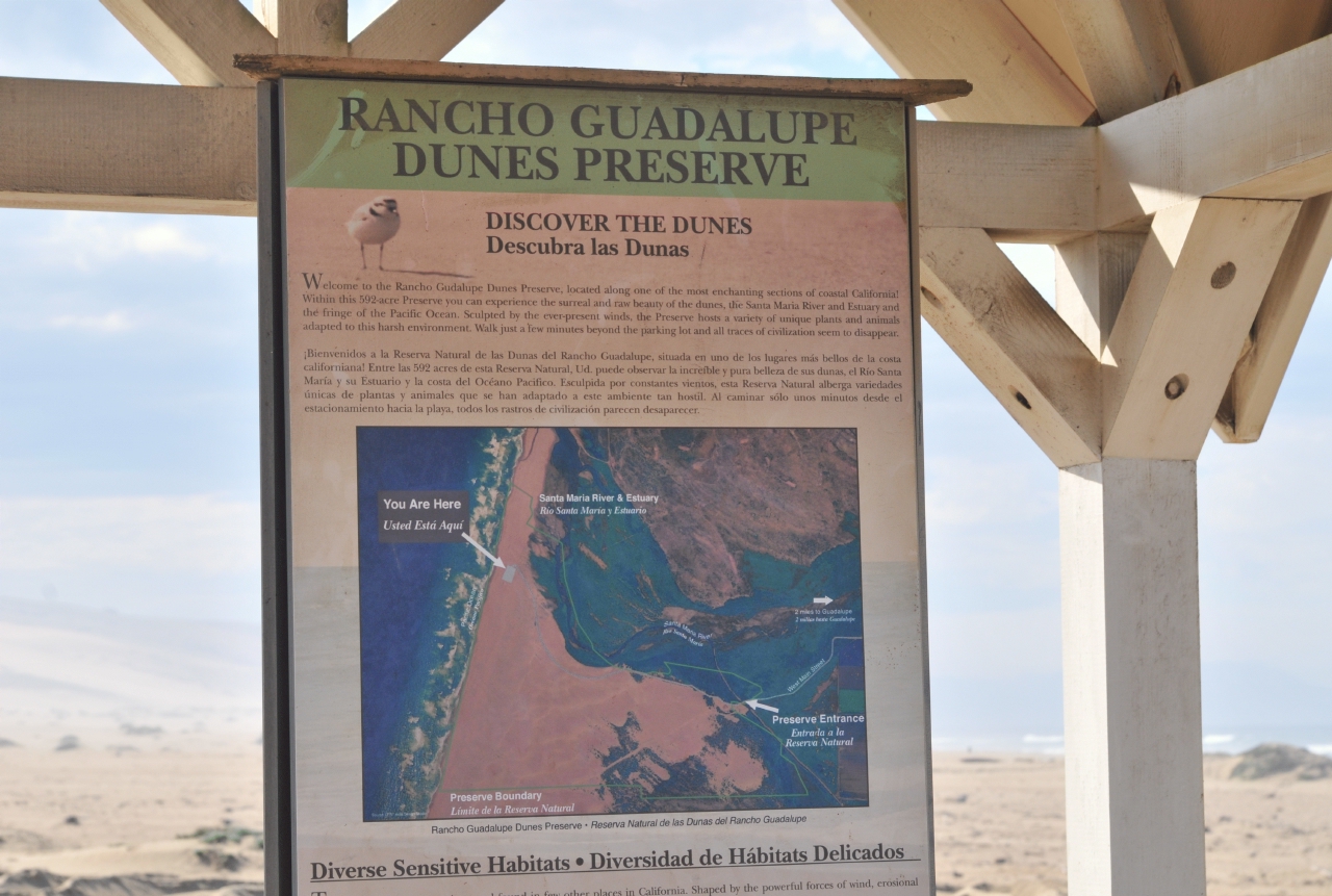 ./Guadalupe_Dunes_20101019_105730_BCY_1623.jpg