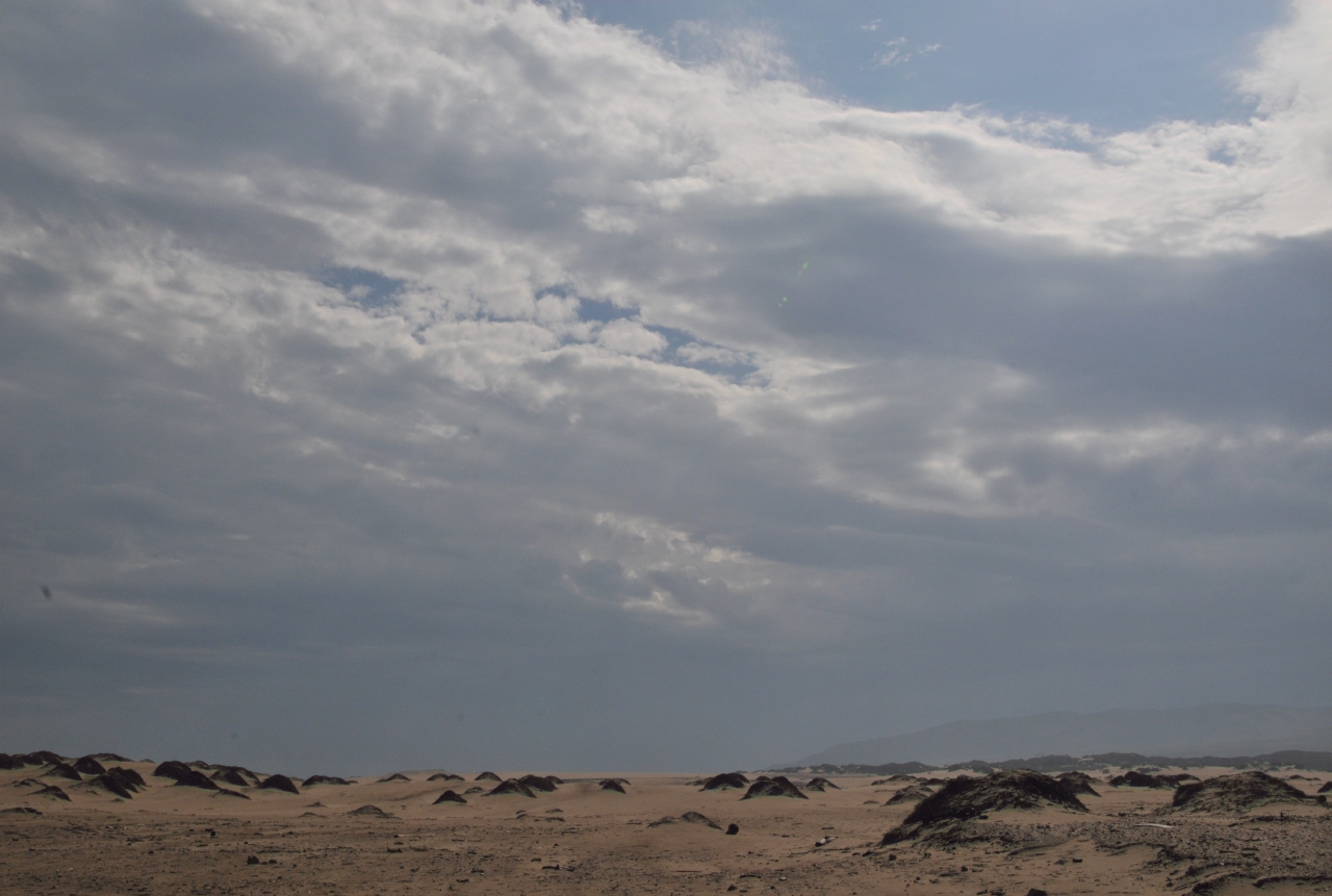 ./Guadalupe_Dunes_20101019_110646_BCY_1645.jpg