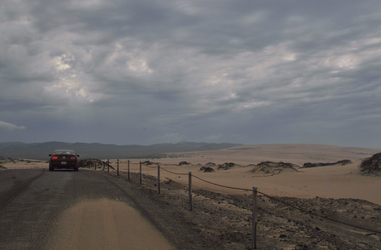 ./Guadalupe_Dunes_20101019_113150_BCY_1666.jpg