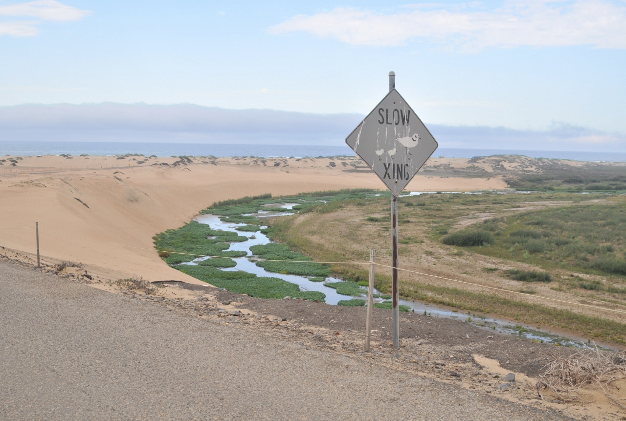 ./Guadalupe_Dunes_20101019_113312_BCY_1674.jpg