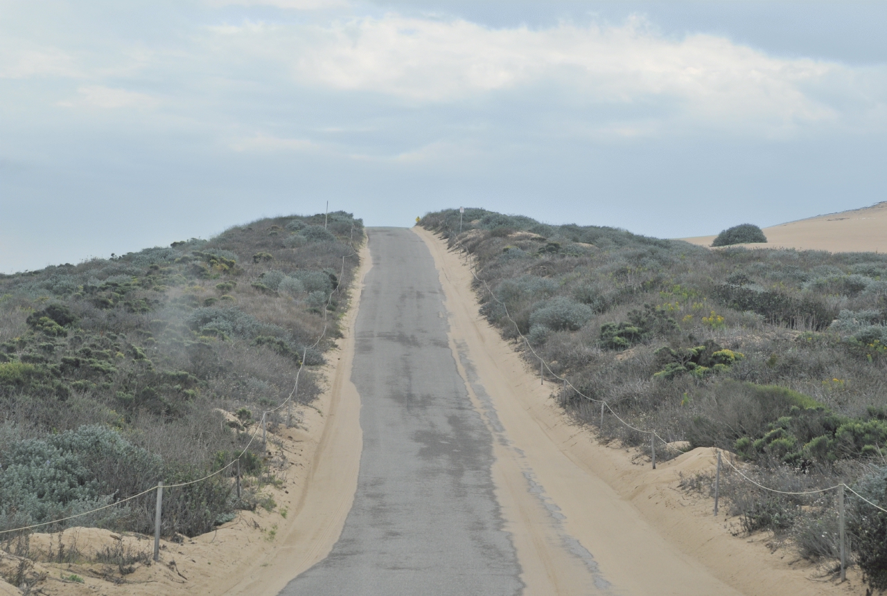 ./Guadalupe_Dunes_20101019_113421_BCY_1679.jpg