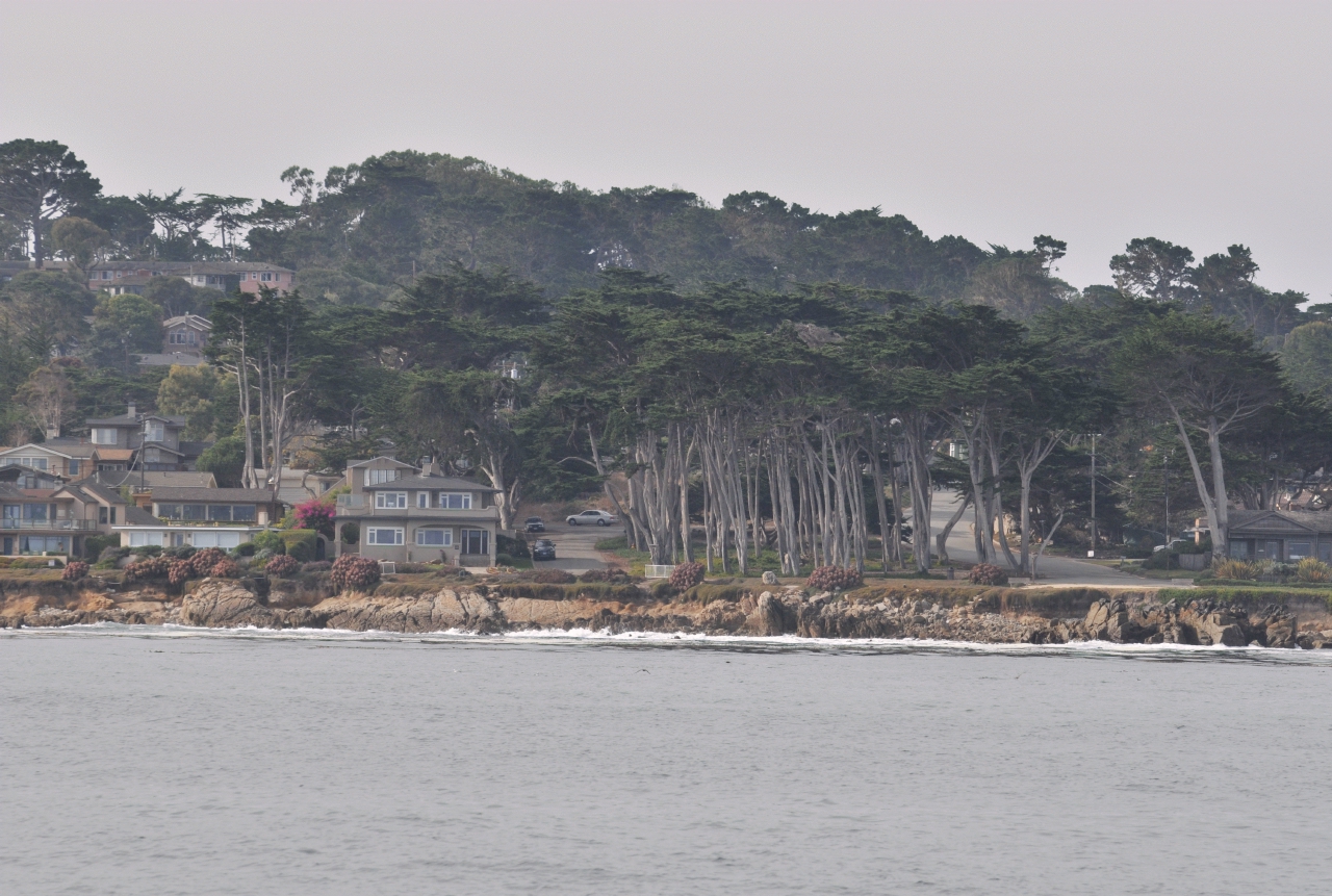 ./Monterey_Whale_Watching_Tour_20101021_102059_BCY_2429.jpg