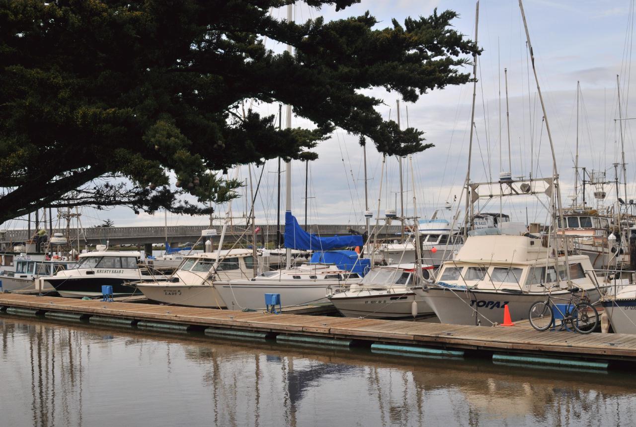 ./Moss_Landing_Marina_20100312_085552_2735BCX.jpg