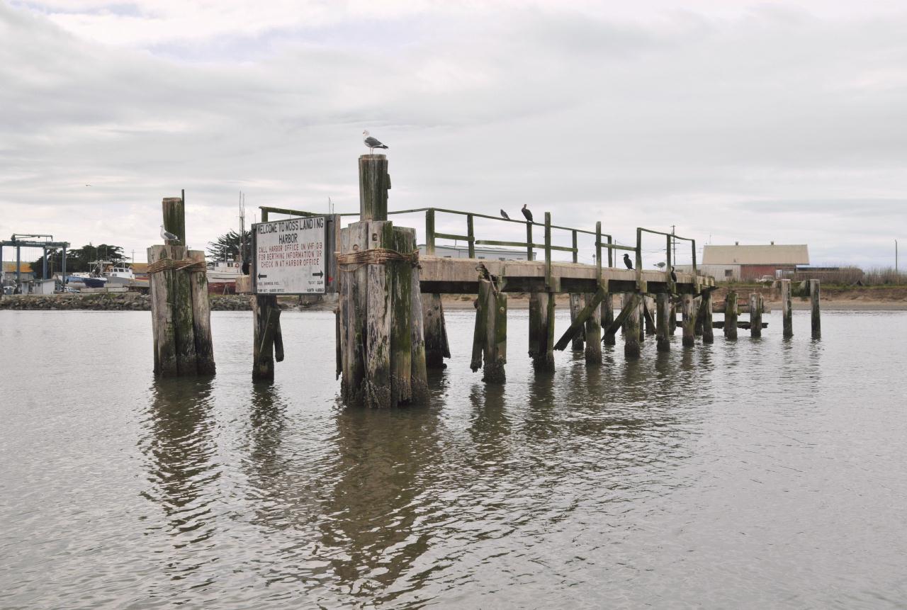 ./Moss_Landing_Marina_20100312_095352_2781BCX.jpg