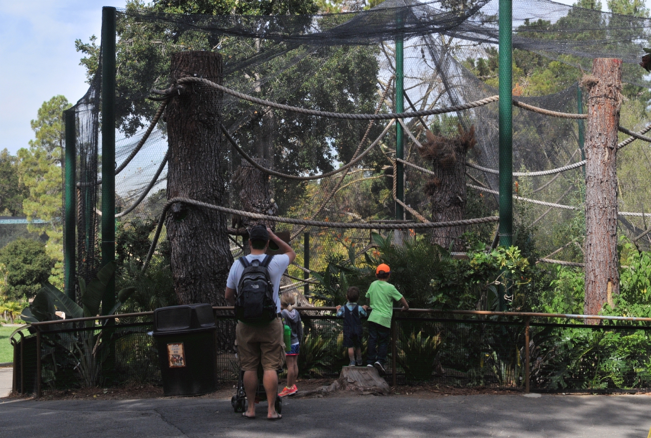 ./Oakland_Zoo_20131006_115146_B13_7585.jpg