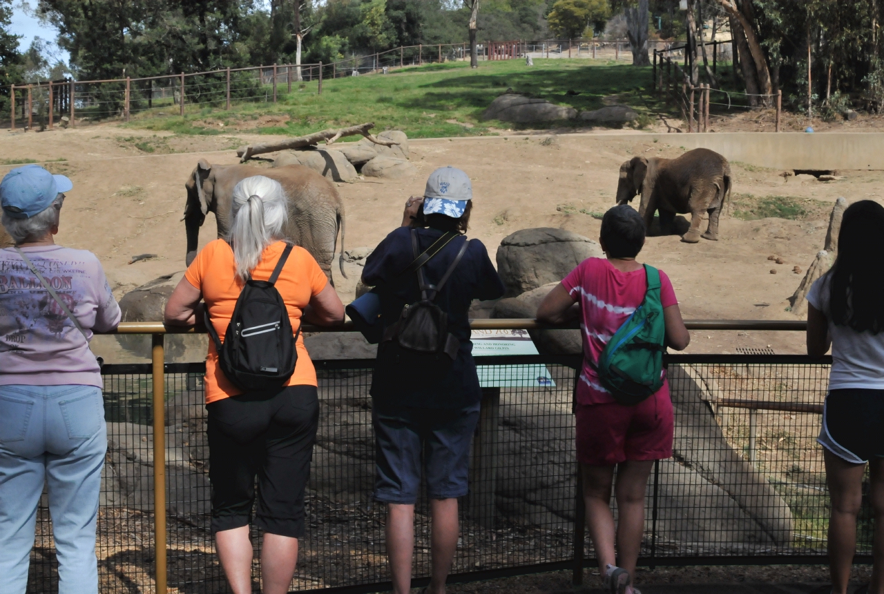 ./Oakland_Zoo_20131006_135502_B13_7783.jpg