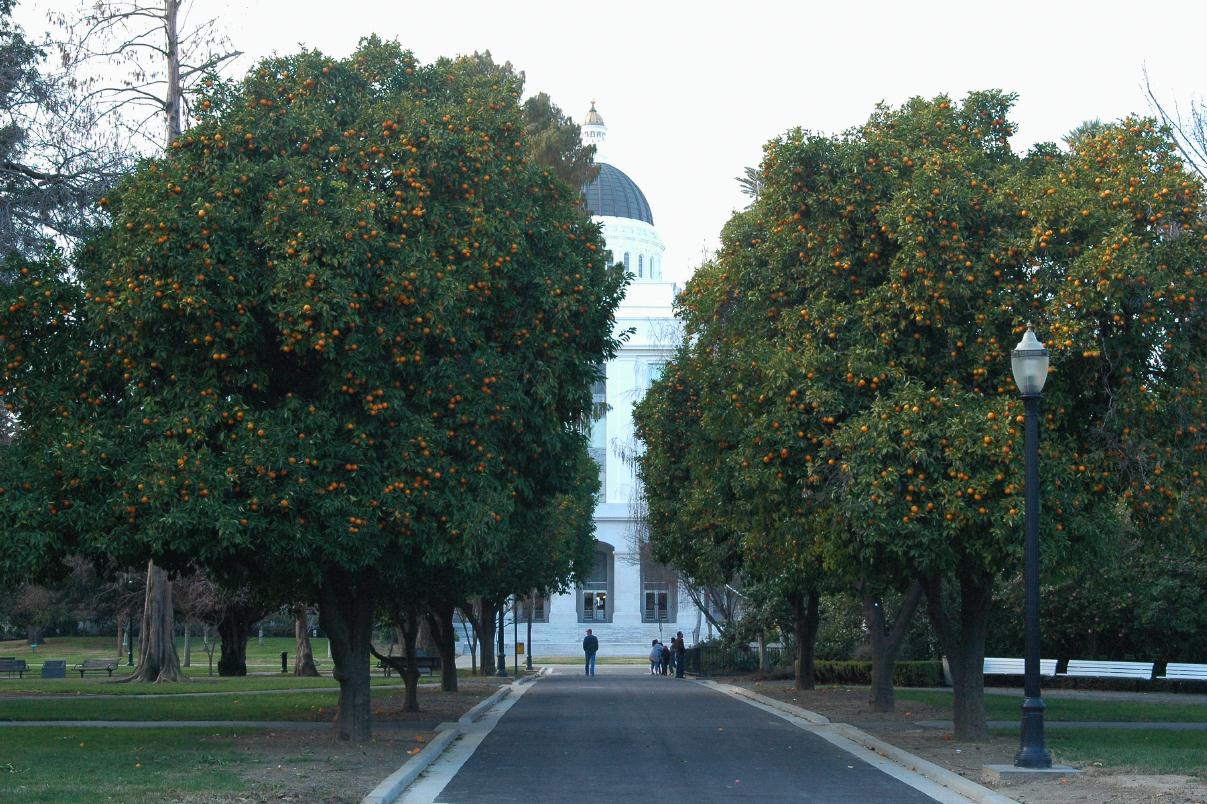 ./Sacramento20080119_08_9732B.jpg