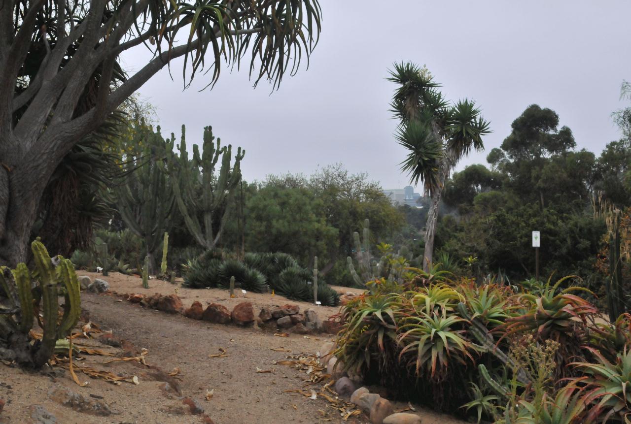 ./Old_Cactus_Garden_Balboa_Park_20101014_100749_BCY_0185.jpg