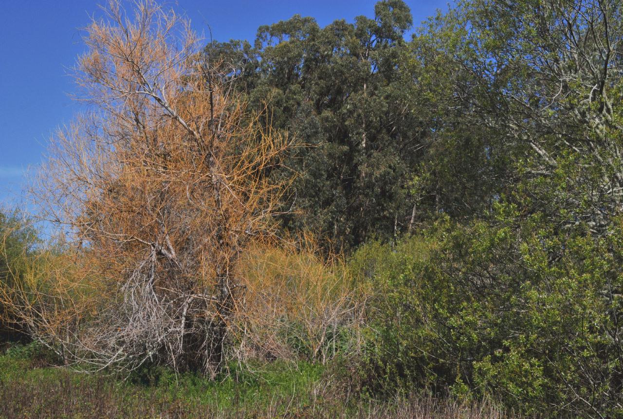 ./NaturalBridgesMoooreCreekTrail20100311_115934_2509BCX.jpg