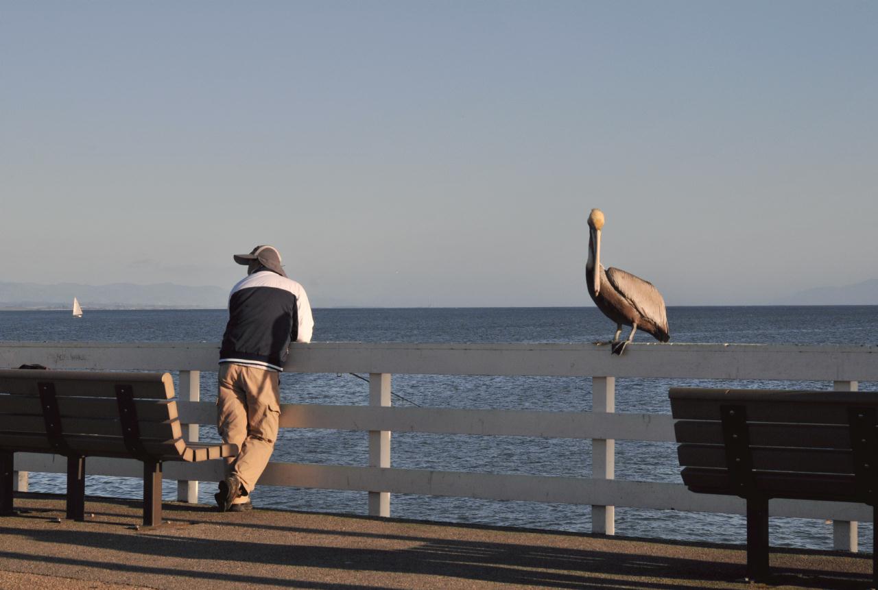 ./SantaCruzWharf20100310_175328_2392BCX.jpg