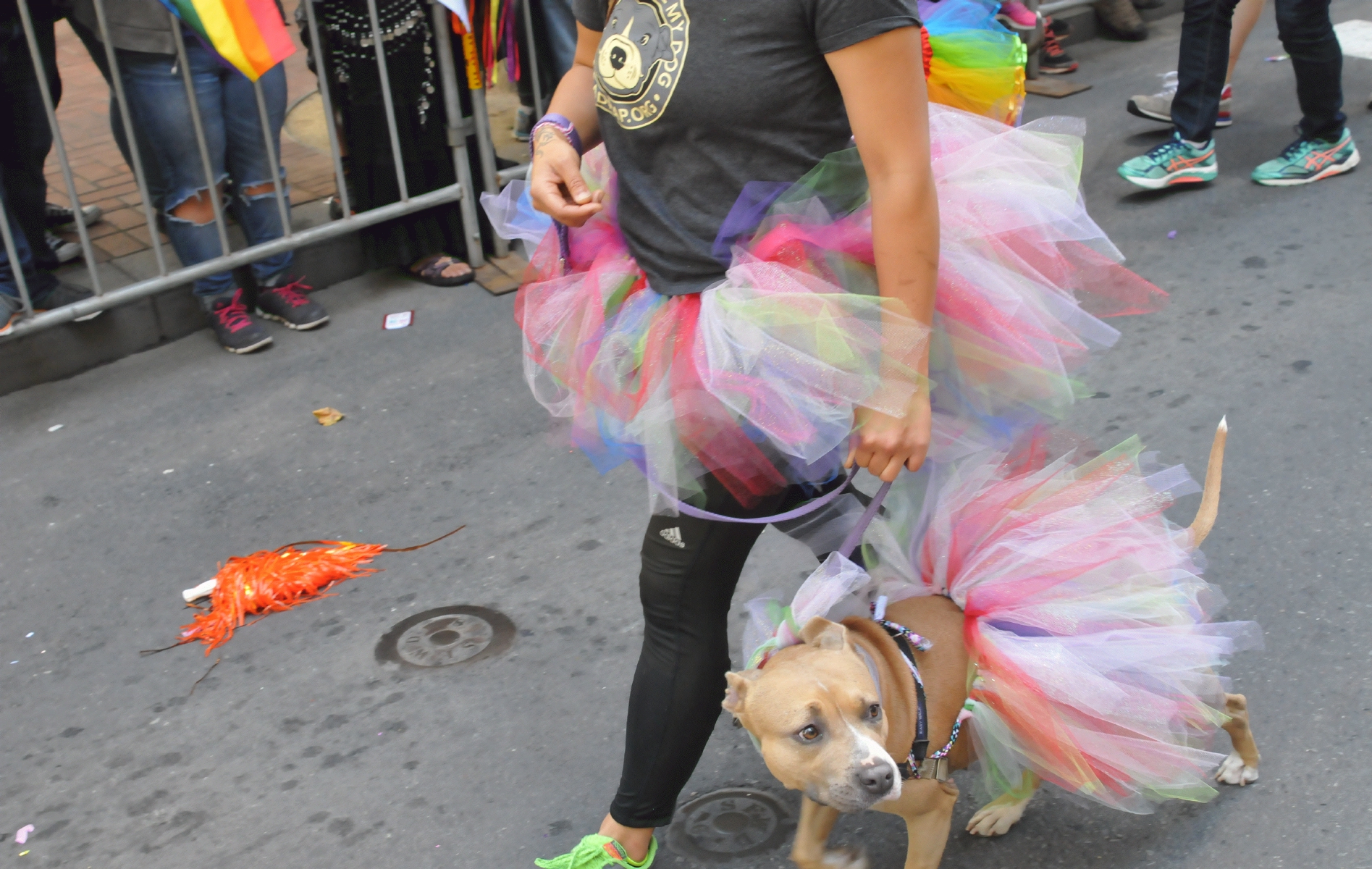 ./San_Francisco_Pride_Parade_20160626_115937_C16_6007.jpg