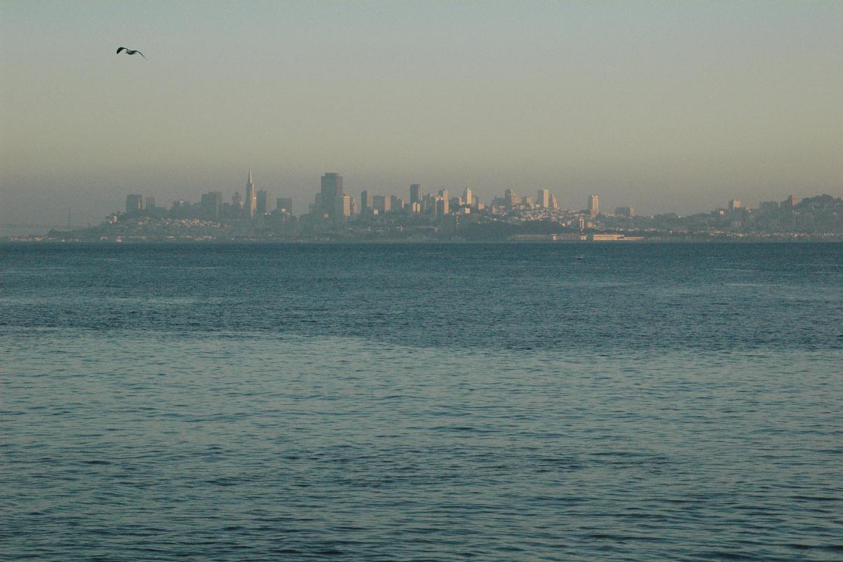 ./SFSkyline20080214_FromSausalito_180726_9974B.jpg