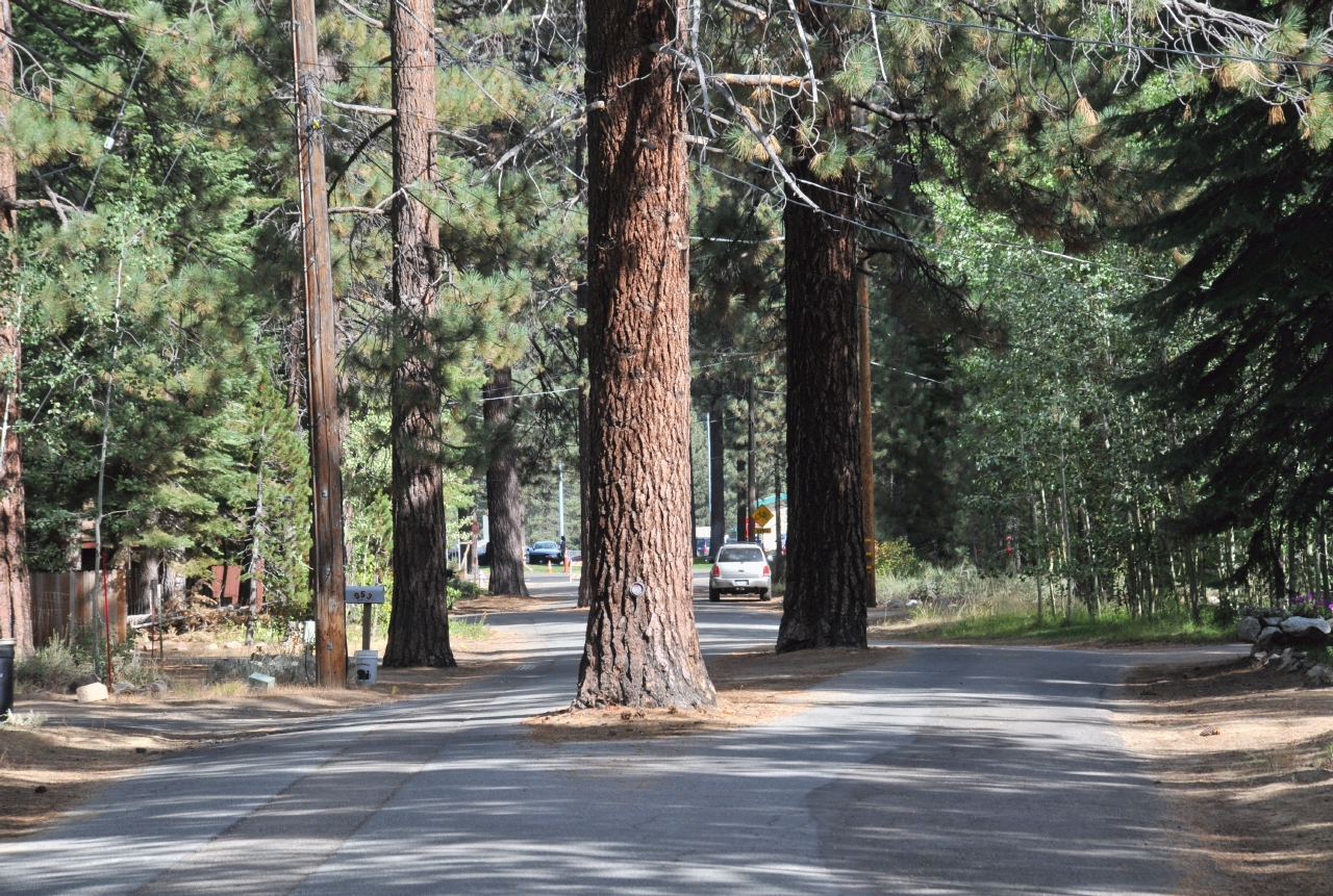 ./Lake_Tahoe_20110923_150729_TNT_1329.jpg