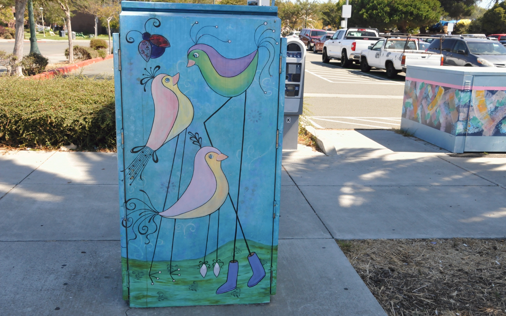 ./Birds_Utility_Box_by_Sherry_Tobin_Vallejo_California_20230908_121911_C23_1992.jpg