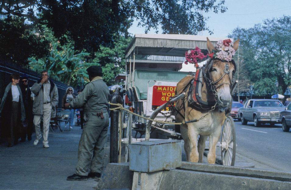 ./NewOrleans1993_13.jpg