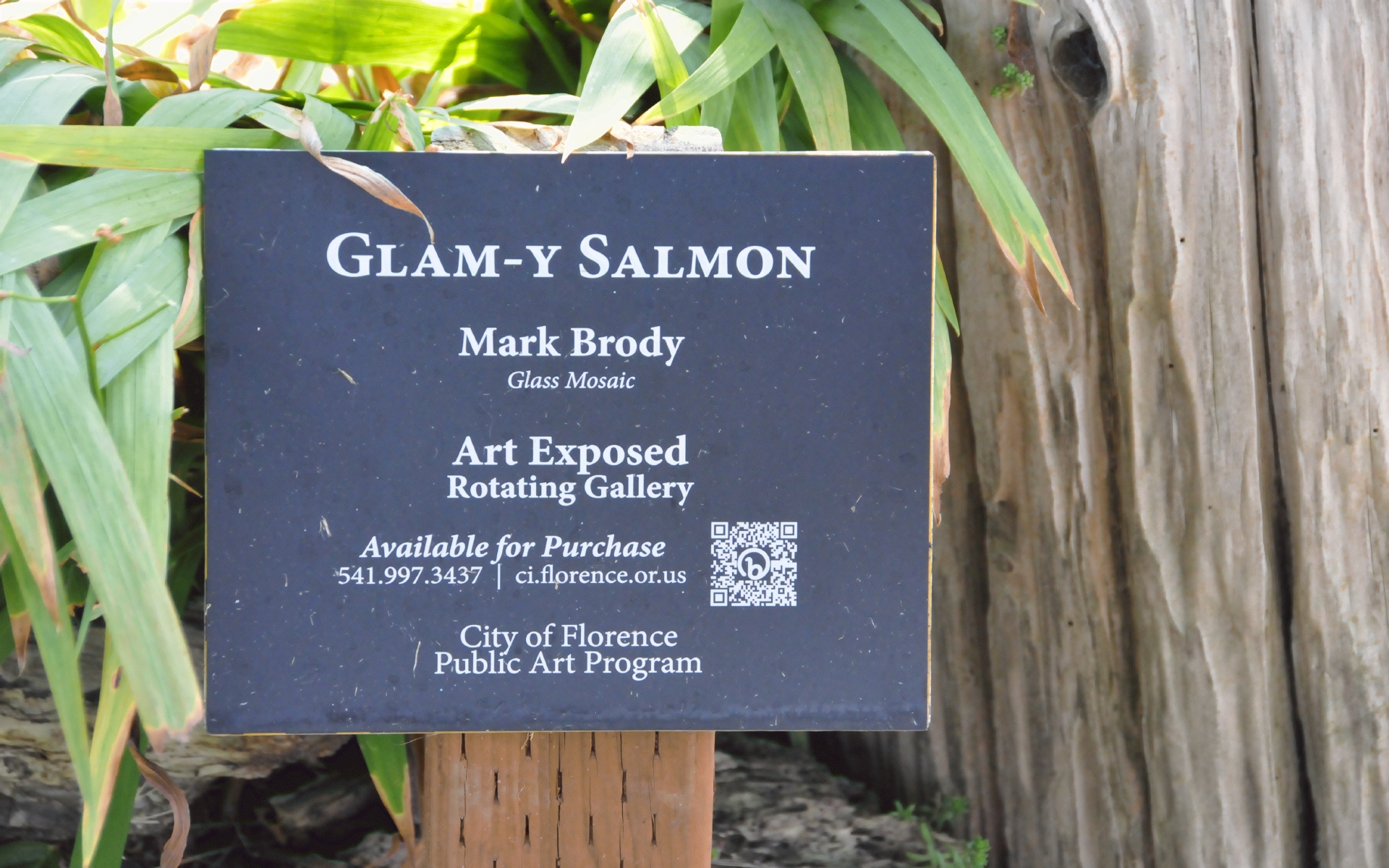 ./Glam-Y_Salmon_by_Mark_Brody_Florence_Oregon_20230816_152258_C23_1295.jpg