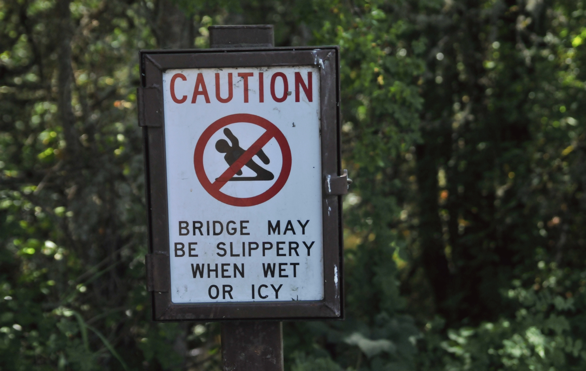 ./Minto_Brown_Island_Park_Salem_Oregon_20170821_122403_C17_5162.jpg