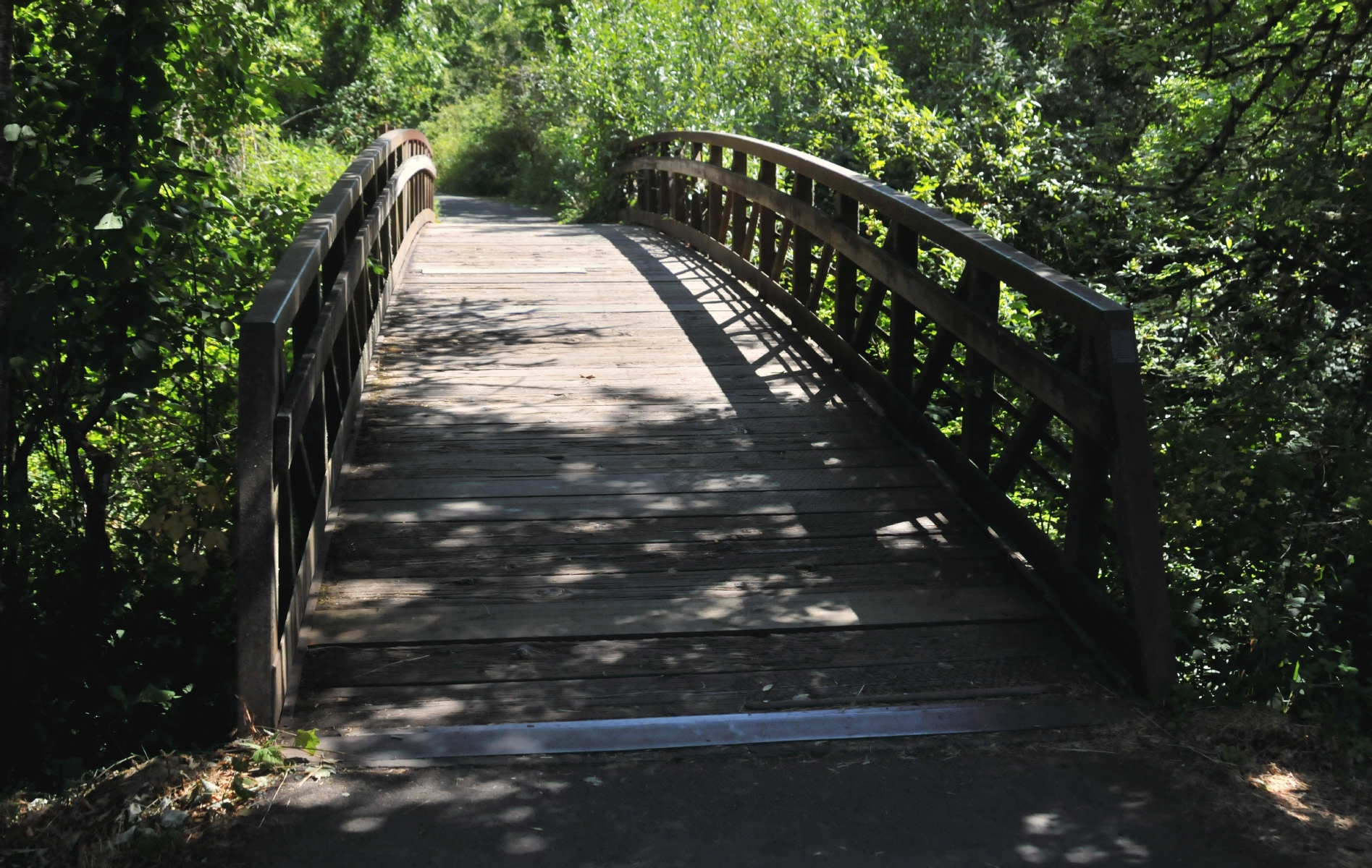 ./Minto_Brown_Island_Park_Salem_Oregon_20170821_122400_C17_5161.jpg