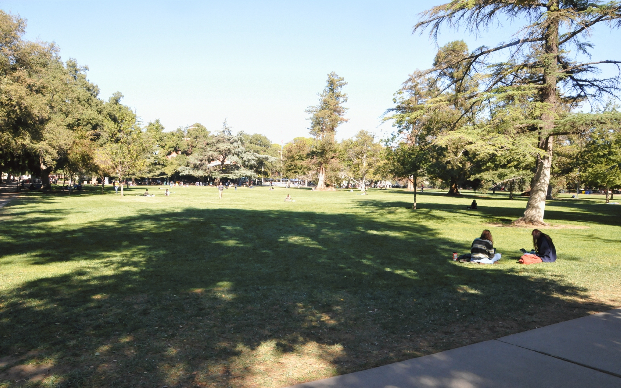 ./UC_Davis_Lawns_20221027_131526_C22_2099.jpg