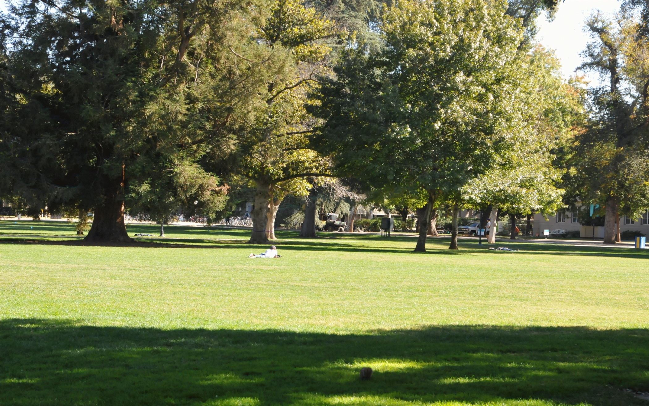 ./UC_Davis_Lawns_20221027_131652_C22_2100.jpg