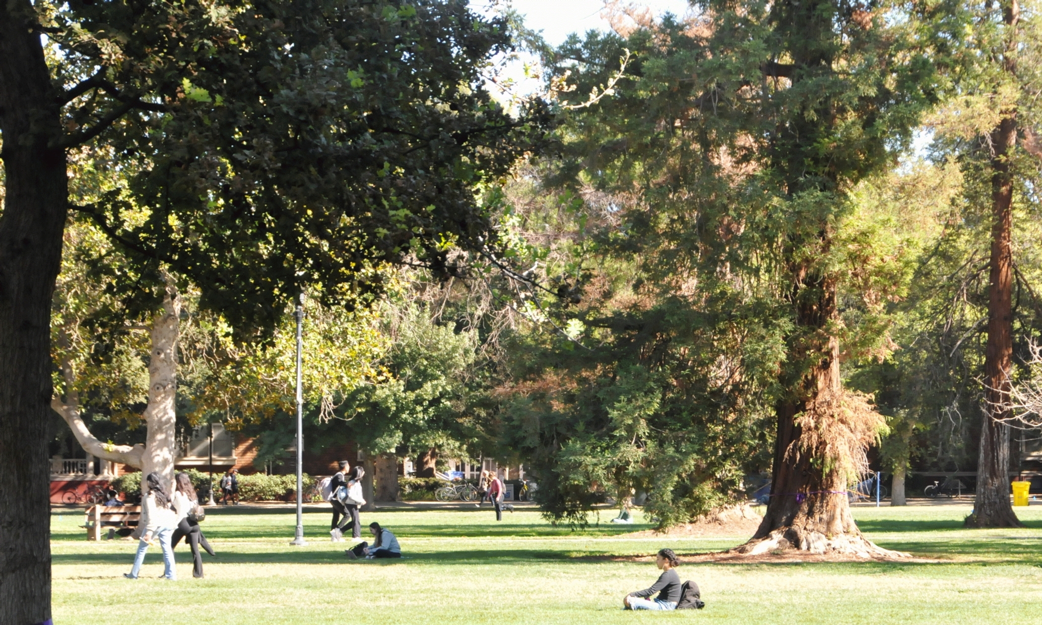 ./UC_Davis_Lawns_20221027_131655_C22_2101.jpg