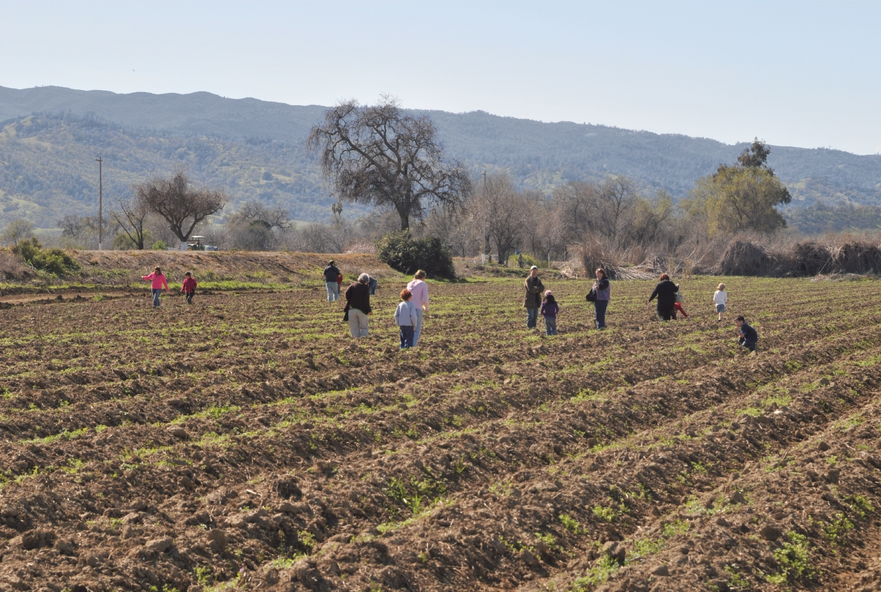 ./Capay_Farm_Tour_20110312_140211_B12_3746.jpg