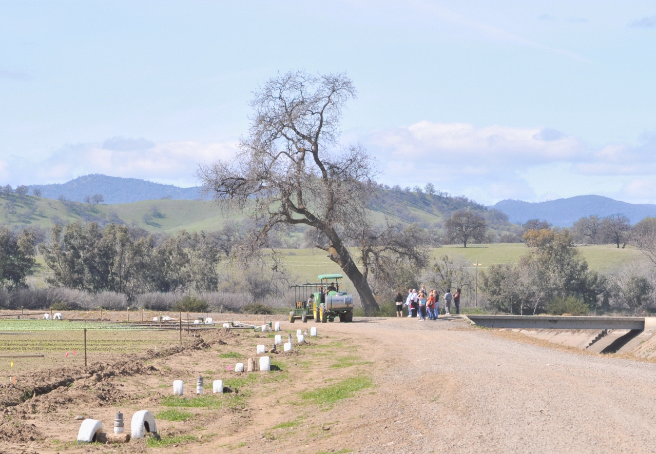 ./Capay_Farm_Train_20110312_133745_B11_3714.jpg