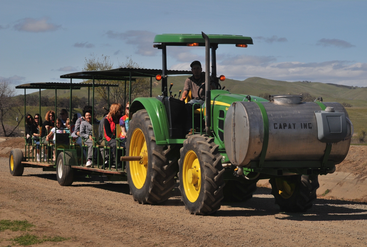 ./Capay_Farm_Train_20110312_134014_B11_3721.jpg