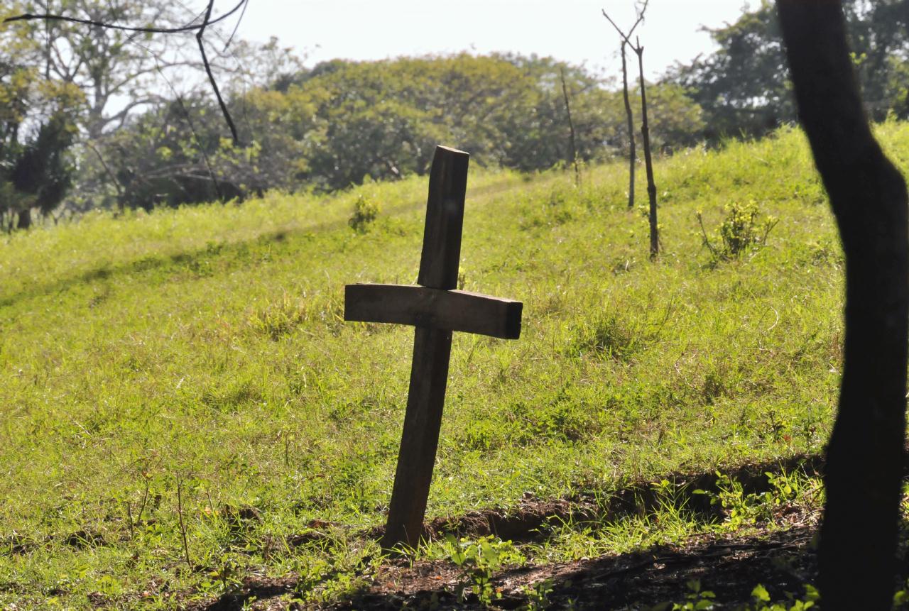 ./Finca_Paso_Llano_Nicaragua_20111123_142916_TC1_1414.jpg