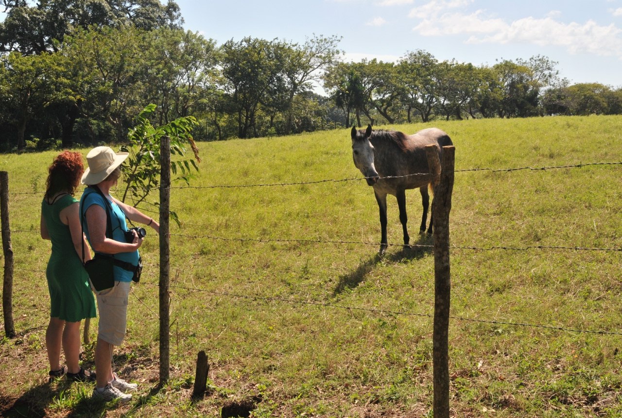 ./Walk_Finca_Paso_Llano_Nicaragua_20111123_123655_B12_2896.jpg