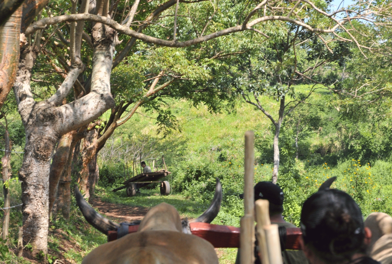 ./Walk_Finca_Paso_Llano_Nicaragua_20111123_124238_B12_2889.jpg