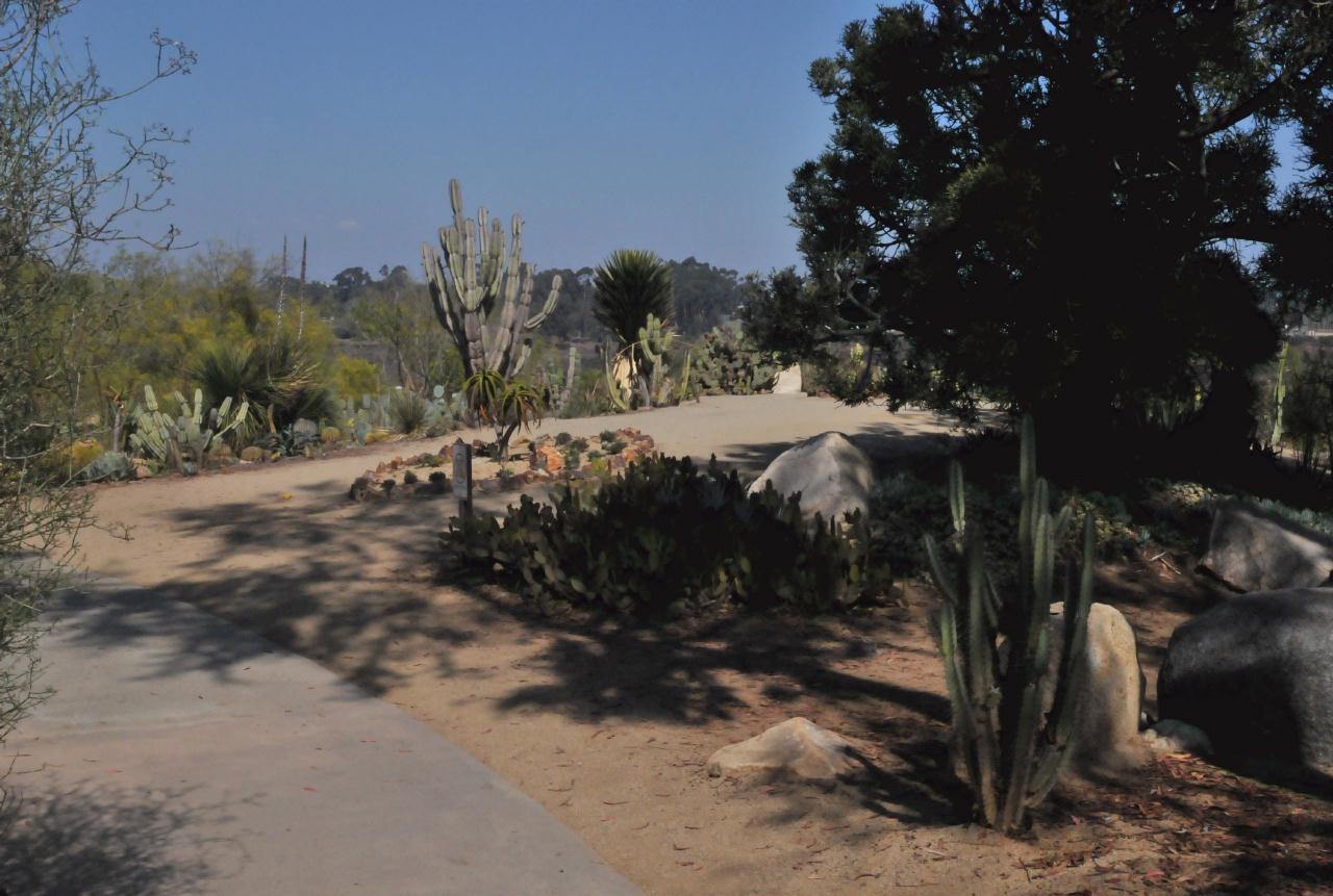 ./Desert_Garden_Balboa_Park_20101012_132652_BCX_9705.jpg