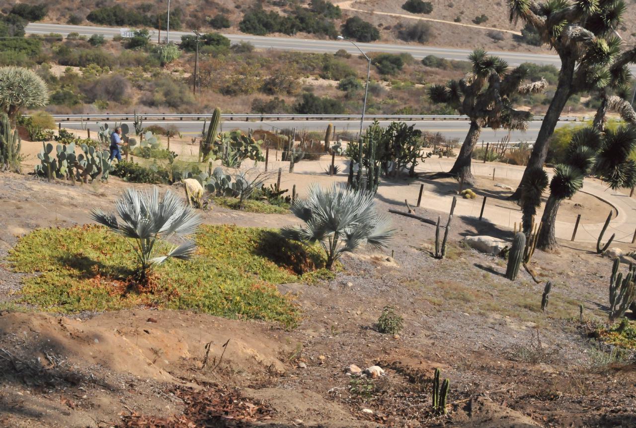 ./Desert_Garden_Balboa_Park_20101012_132744_BCX_9709.jpg