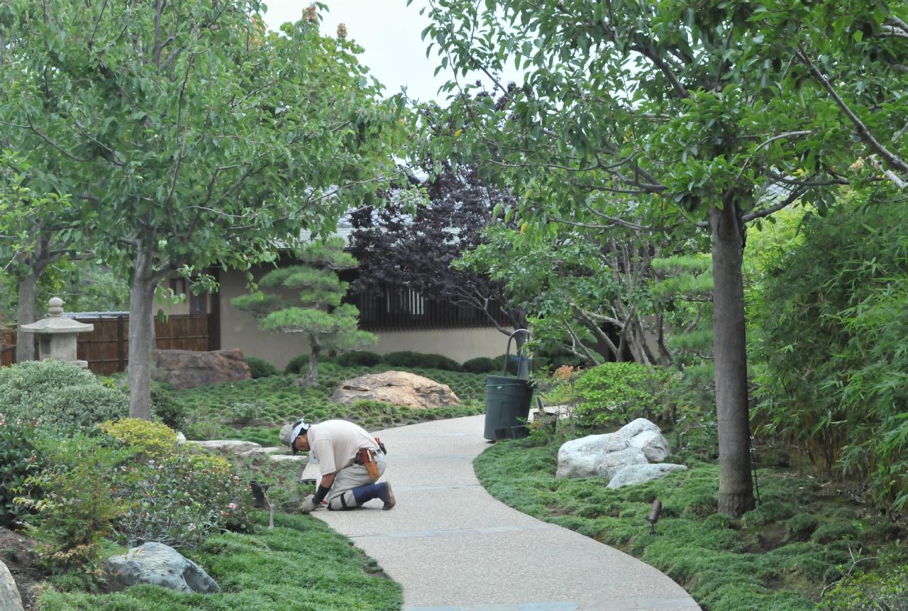 ./Japanese_Garden_Balboa_Park_20101014_134608_BCY_0378.jpg