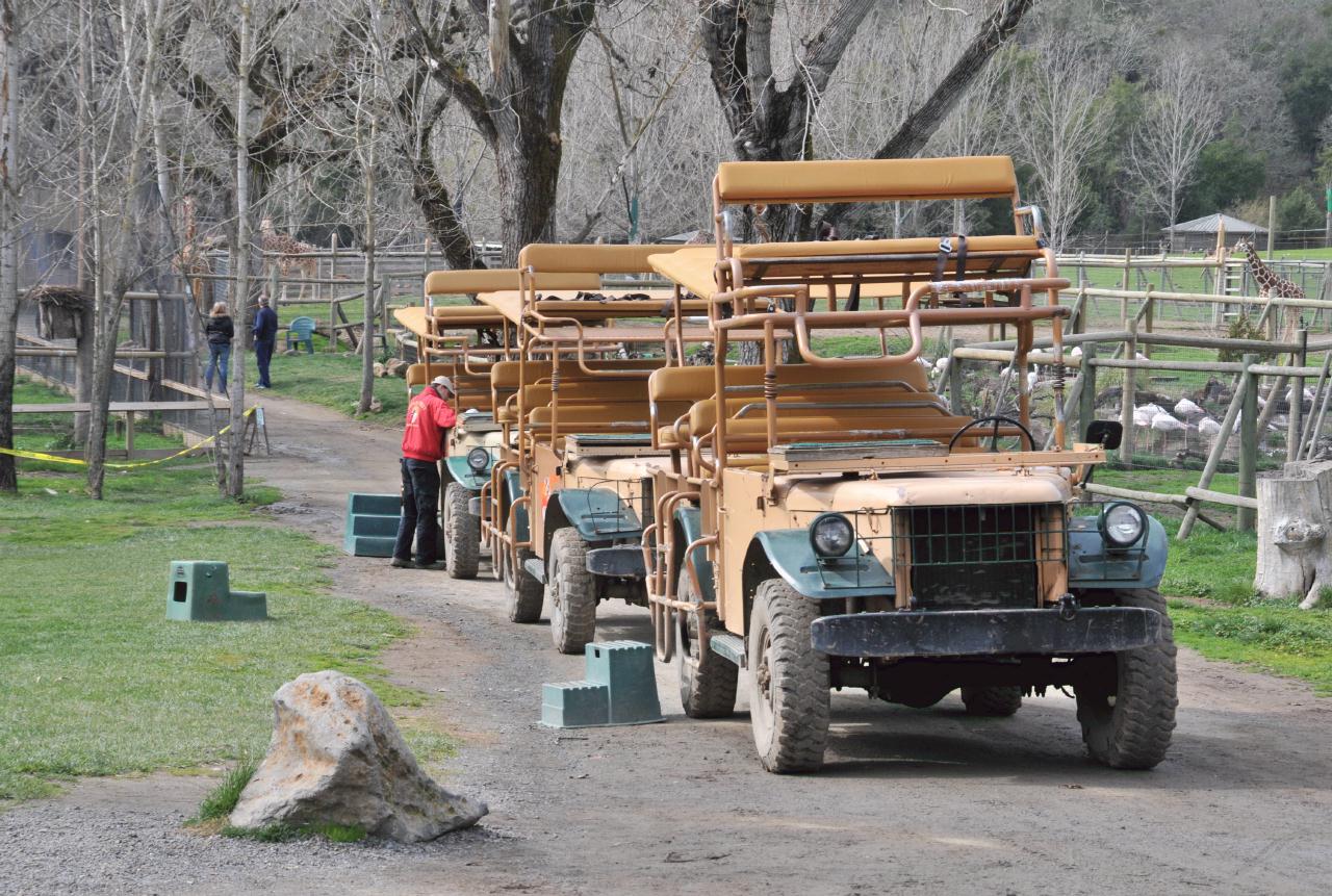 ./Tour2SafariWest20090221_12_133416_4925TNT.jpg