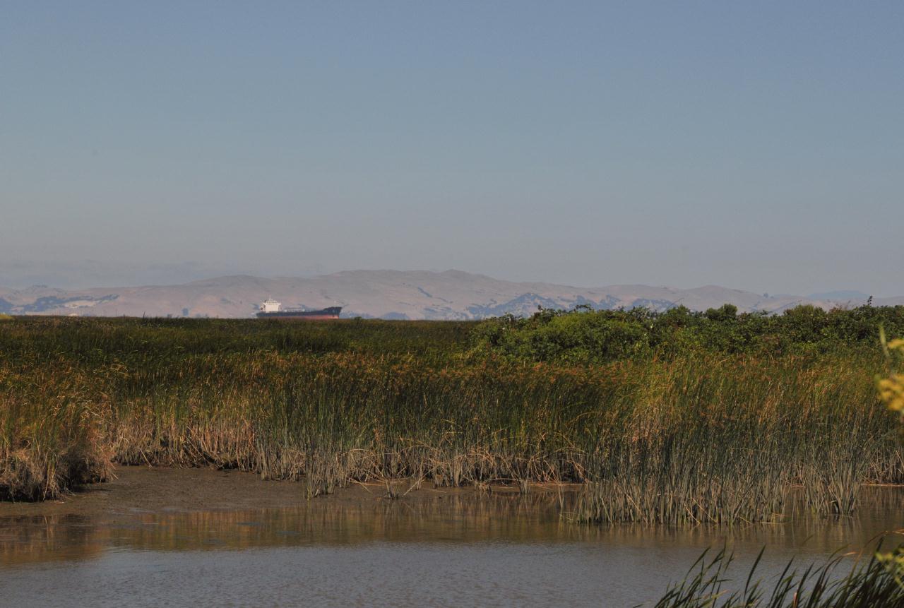 ./Baypoint_Regional_shoreline_20100725_111907_BCX_7512.jpg