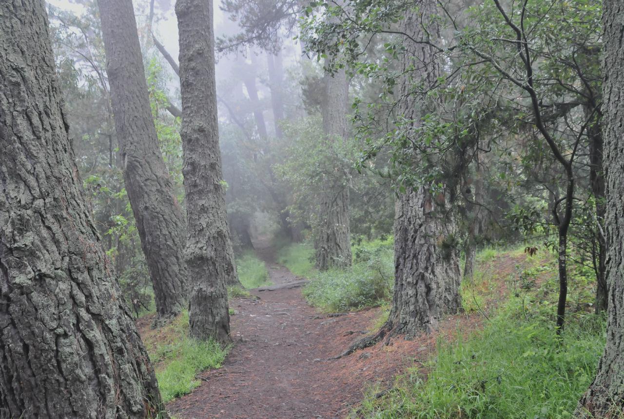 ./Robert_Sibley_Regional_Park_20100609_125510_5948BCX.jpg