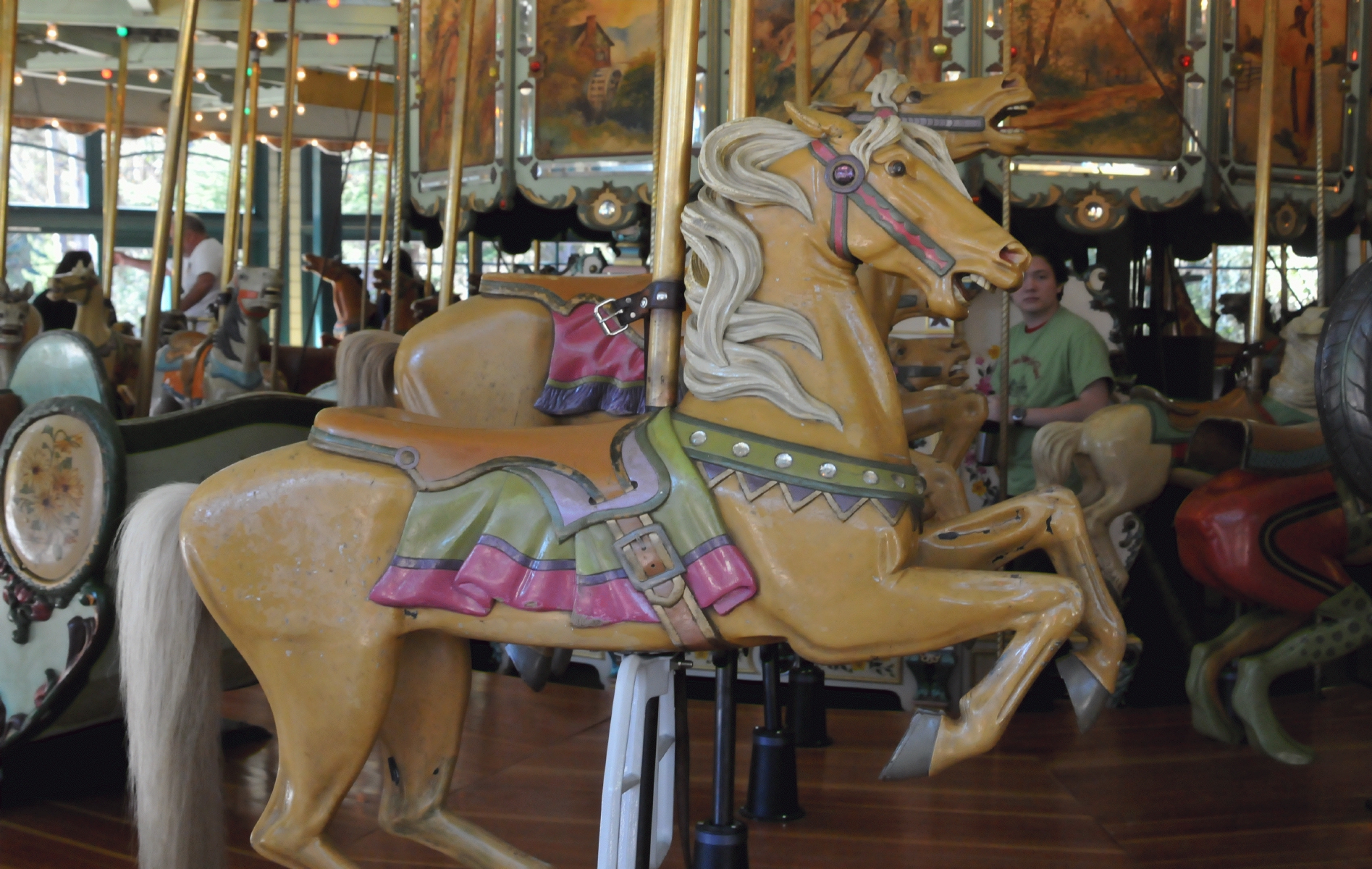 ./Tilden_Park_Carousel_20150124_141910_C15_0166.jpg