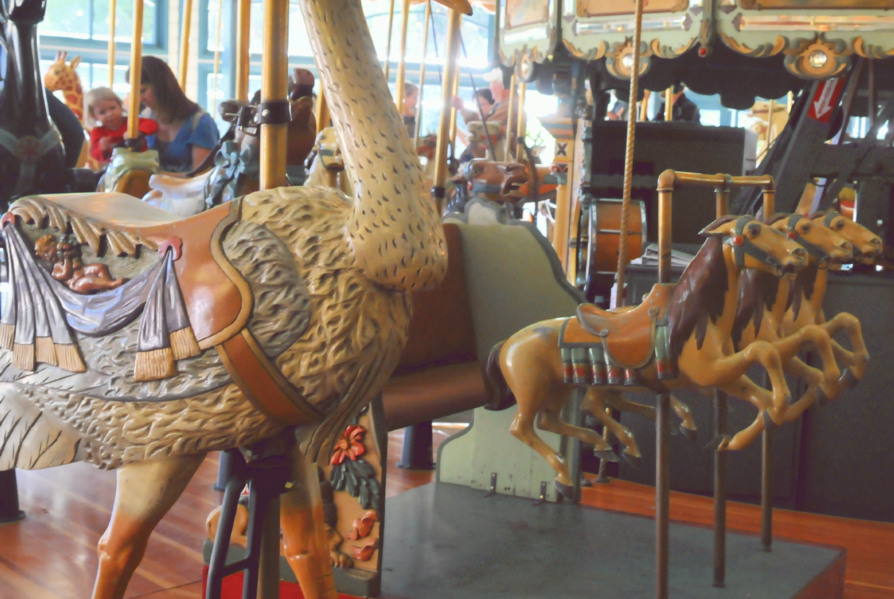 ./Tilden_Park_Carousel_20150124_142305_C15_0198.jpg